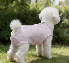 犬用 サニタリーパンツ 花柄 ピンクのサムネイル