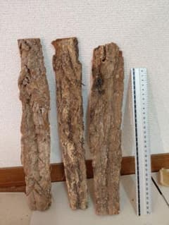 国産コルク樹皮 3枚セット クヌギ　アベマキのサムネイル