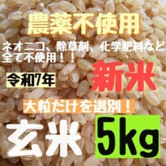 【袋数限定値下げ】農薬不使用 化学肥料不使用 玄米 袋数限定値下げ】農薬不使用 化学肥料不使用 玄米 米 - メルカリ