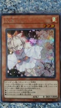 遊戯王 灰流うらら　シークレットのサムネイル