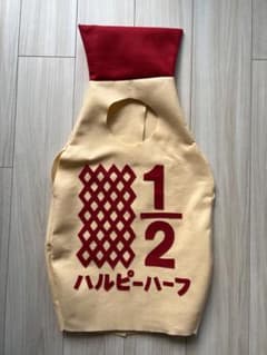 ハルピーハーフ　ハーフバースデー衣装のサムネイル