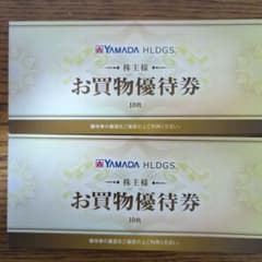 ヤマダ電機　YAMADA HLDGS. お買物優待券 10枚×2 10000円分のサムネイル