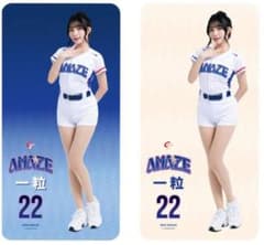 2026 WBC 22 一粒 応援 80cm両面ロングクッション - メルカリ