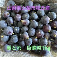 ヒ*イ様 新鮮 朝とれ巨峰粒 1kg 山梨県山梨市牧丘産のサムネイル
