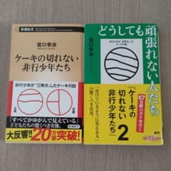 ケーキの切れない非行少年たち、どうしても頑張れない人たちのサムネイル