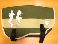 SEAGULLBAGS シーガルバッグラージ メッセンジャーバッグ(used品)のサムネイル