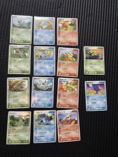 ポケモンカード ADV PCG 御三家 進化ライン まとめ売り ホウエン御三家