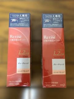 Rerise リライズ 白髪用髪色サーバー グレーアレンジ つけかえ 2本⑦