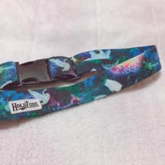 HOLDTUBEのサムネイル
