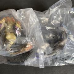 在庫last！イブシマキヒコ　ナルハタタヒメのサムネイル