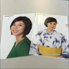 松嶋菜々子 クリアファイルのサムネイル