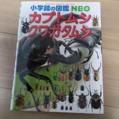 小学館の図鑑NEO カブトムシ・クワガタムシのサムネイル