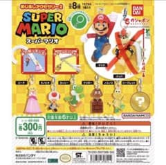 スーパーマリオ めじるしアクセサリー2 セミコンプリート - メルカリ