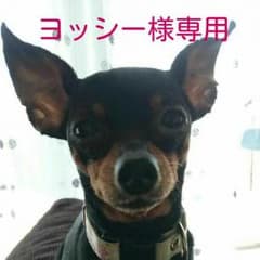 ヨッシー様専用                            戦国無双4のサムネイル