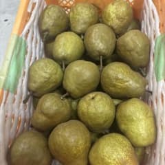 超訳あり　メロウリッチ　西洋梨　箱込み12kg 傷あり　4L Cứngのサムネイル