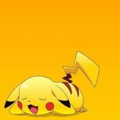 【あきや様専用】のサムネイル