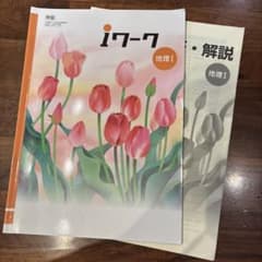 iワーク 地理Ⅰ （帝国）のサムネイル