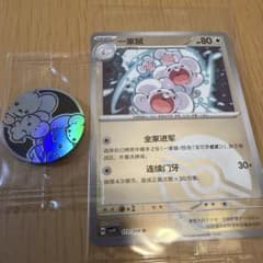 海外限定 正規品 ポケモンカード イッカネズミ カード コイン - メルカリ