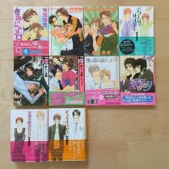 神葉理世 ボーイズラブ 10冊セットのサムネイル