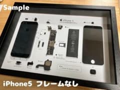 m73328831042_1.jpg?1730677896