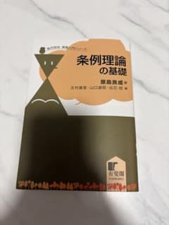 条例理論の基礎 地方自治・実務入門シリーズ