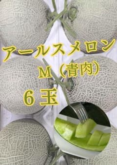 ★青肉『アールスメロン』Mサイズ（6玉入り）メロン 果物 送料無料のサムネイル