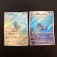 ◇151◇ ゼニガメ カメール AR 2枚セット - メルカリ