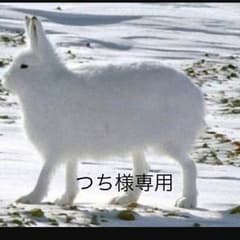 つち様専用のサムネイル