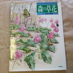 森の草花 長谷川哲雄 岩崎書店