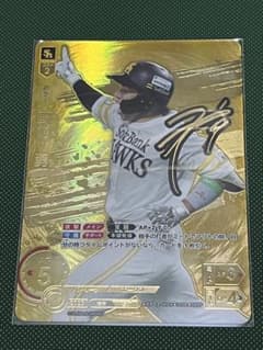 ドリームオーダー 野村勇 SSPPのサムネイル