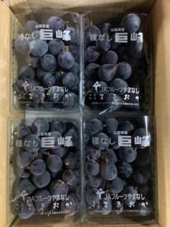 【本日限定　増量】山梨県産　ぶどう　種無し巨峰 2.6kg+650g（３キロ）のサムネイル