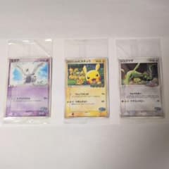 ポケパークのピカチュウ 未開封プロモカード 他まとめセット(合計9枚 