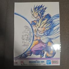 m73378283889_1.jpg?1762000535