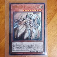 教導の騎士フルルドリス レリーフのサムネイル