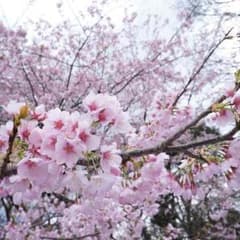♥のか(3/31までの出品です)様♥のサムネイル
