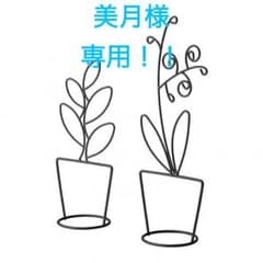 美月様専用のサムネイル