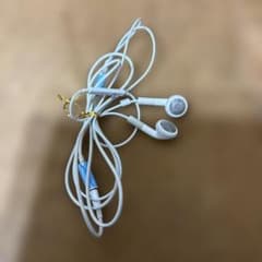 Apple EarPods with Lightning Connectorのサムネイル