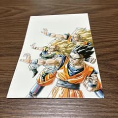 m73395248024_1.jpg?1749258820