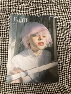 maison Palm 017のサムネイル