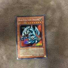 遊戯王 ブルーアイズ・トゥーン・ドラゴン英語のサムネイル
