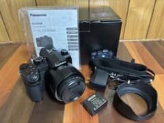 美品] [ショット数4485回] LUMIX DC-FZ1000M2 本体 | Mercari