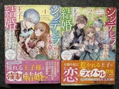 シンデレラの姉ですが、不本意ながら王子と結婚することになりました : 身代わり…のサムネイル