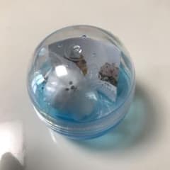 たべものに育てられた犬のサムネイル
