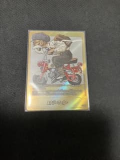 DBFW エナジーマーカー 金 パラレル e-58 亀仙人 28巻 - メルカリ