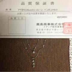 PT0.25Cダイヤシルバーネックレスセットのサムネイル
