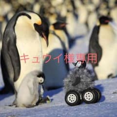 キュウイ様専用ですのサムネイル