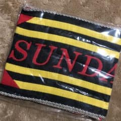 サンデーレーシーング タオル 競馬のサムネイル