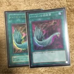 ハーピィの羽根箒2枚のサムネイル