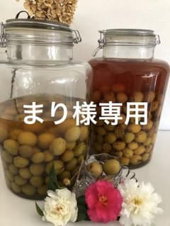 梅酒の梅　(1kg)のサムネイル