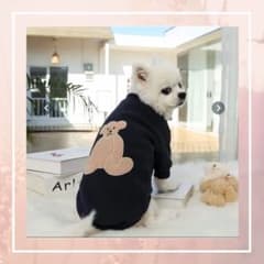 【犬洋服】くまさんトレーナーMサイズのサムネイル